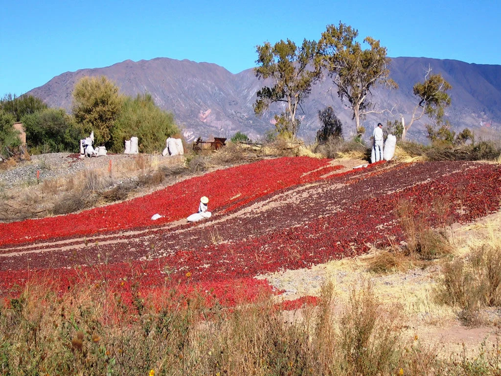 Cachi, Valles Calchaquíes_05